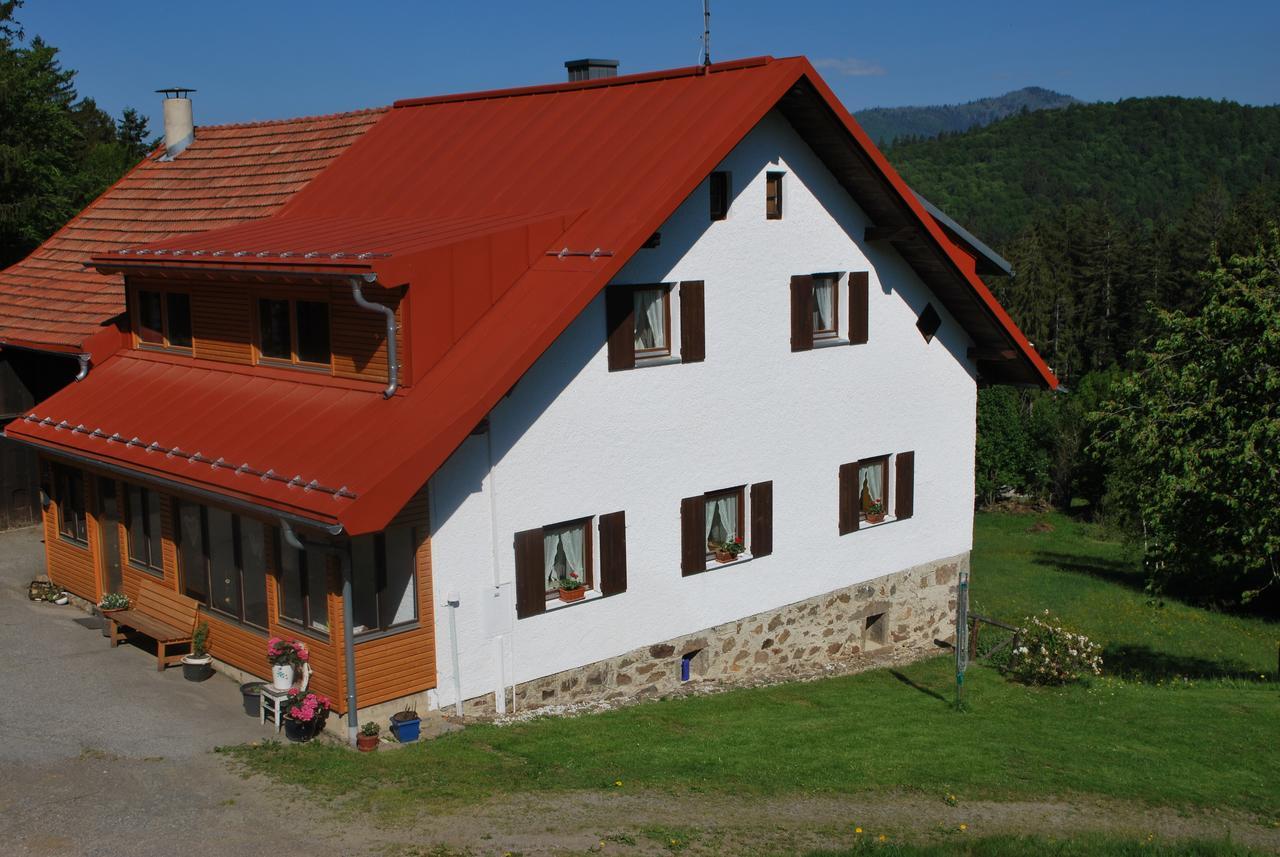 Ferienhaus "Lisa'S Haeusl" Neuschoenau Ngoại thất bức ảnh